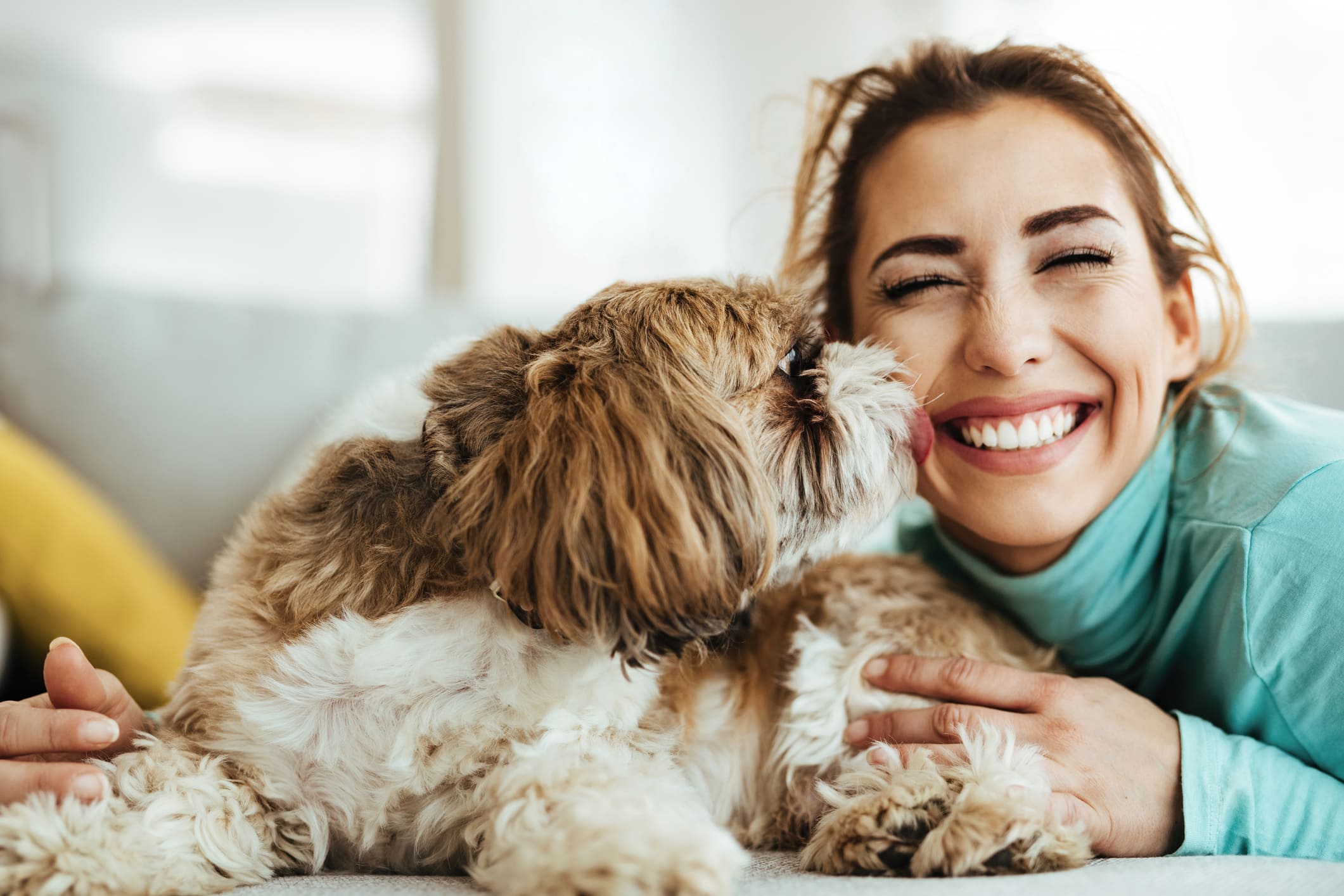 ¿por Qué Mi Perro Me Lame 